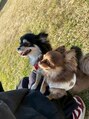 アグ ヘアー ロミー 西那須野店(Agu hair romie) 犬2匹と暮らしてます