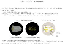〈ミルボントリートメント〉ミルボンの毛髪研究が結実し先進の科学技術が融合して生まれたブランド
