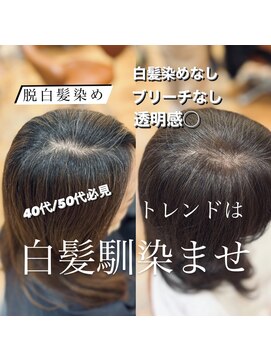 ビュートリアム265(BEAUTRIUM 265) 40代50代/白髪ぼかし/白髪染め/銀座/レイヤー/野川
