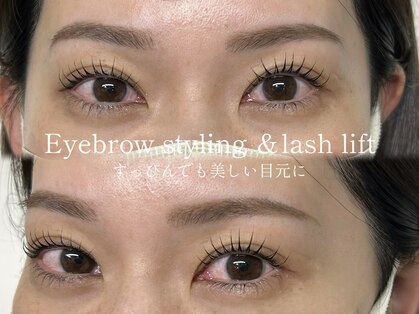 ディティカ ルーク(Dityca luk)の写真