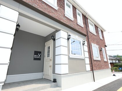 ドルクス(Dorcus)の写真