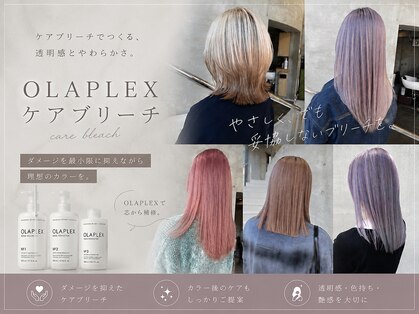 アイス(ice)の写真