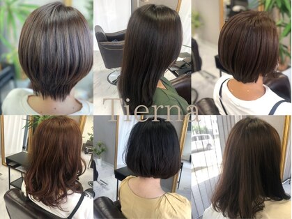 ティエルナ(Tierna)の写真