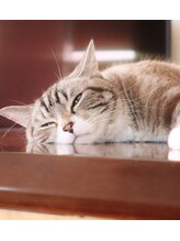 ヘアーメイク ラピス(hair make Lapis)&nbsp;木原 たかみ