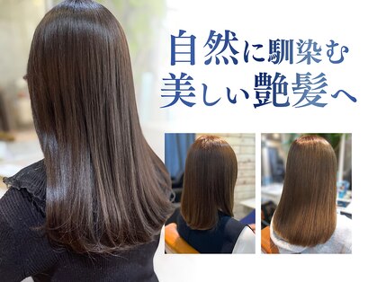 オモルフィ(Omorfi)の写真