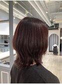 2025年流行りのレッドブラウンウルフカット赤羽美容院