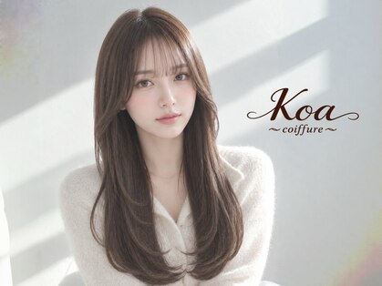 コア(Koa)の写真