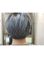 ゼットサロン(Z SALON) Z「ライトシルバー」