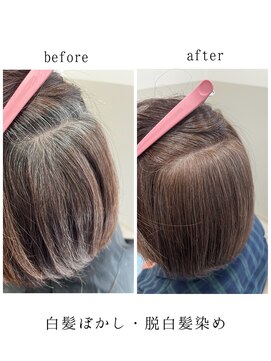サロウィン 水戸(SALOWIN) 【舞歌 水戸 salowin】白髪ぼかし・脱白髪染め