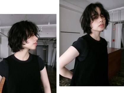 カイラ(KAILA)の写真