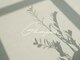 グリンプス(Glimpse)の写真