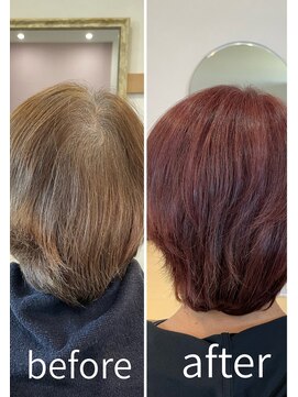 エル(Ele’) ピンクバイオレット【白髪ぼかし】【白髪染め】