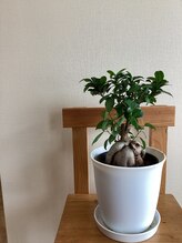 サロンドボーテルリアン(salon de beaute Le lien) Komatsu Kiyomi