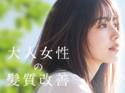 デフォルト(default)の写真