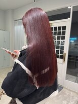 ダイアモンドリリー(Diamond Lily) ボルドー