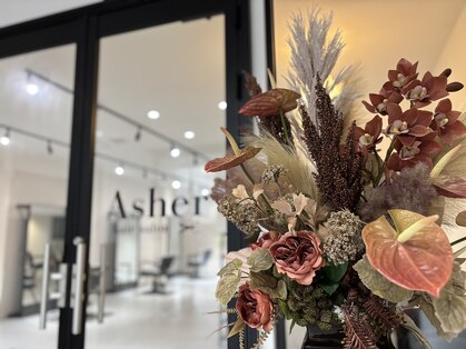 アシェル(Asher)の写真