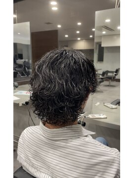 ササ(33) サーフカール