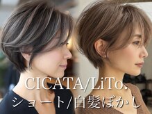 シカタリト 鎌倉(CICATA LiTo)