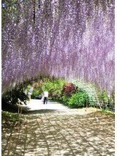 グレース美容室&nbsp;西村 美歩