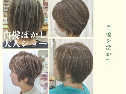 ベアーズ1の写真