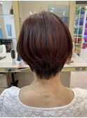 30代40代50ハンサムショート レッドブラウン 細毛ボリュームUP