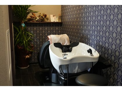 ベルクロエの写真