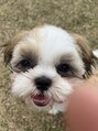 サンリット(SUNLYT)&nbsp;趣味は愛犬との散歩。愛犬家美容師です。