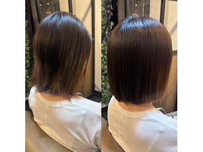 ファインヘアー(Fine Hair)の写真