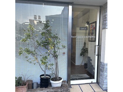 ヘアーココカシェット(hair coco cachette)の写真