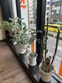 ネスト(nest)/茅森 誠