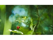 正しいケアであること。正しい関係であること。