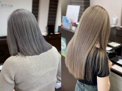 ブルーテーフ(Bleu Terre)の写真