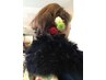 【袴/成人式＆卒業式にも◎】袴着付＋ヘアセット　￥20900