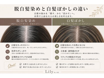 リリー バイ エーケー(Lily By Ak)の写真