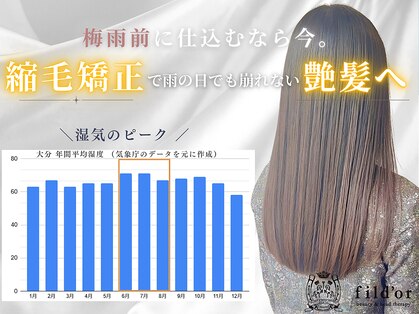 フィルドール(fild'or)の写真