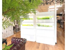 ヘア トケイダイ(Hair Tokeidai)の雰囲気（水耕栽培でのオーガニック植物で癒されてください）