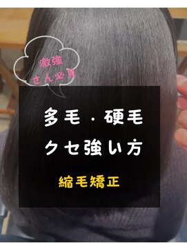 シスタ(CISTA) 多毛・硬毛・強クセの方/縮毛矯正