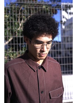 ミューズ バイ ケンジ(MUSE by KENJE) カーリーヘア/アフロ/平塚