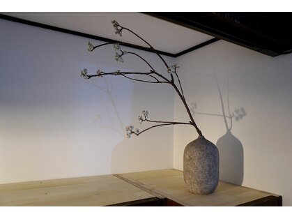 ルルズ(LULUS)の写真