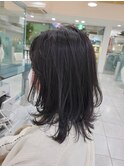 ソフトウルフミディアム