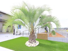 リノ(Lino)の雰囲気（非日常的な海外風のデザインサロン♪アットホームな空間です☆）