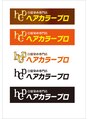 白髪染め専門 へアカラープロ プロ デザイン