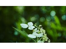 急増している髪・頭皮の悩みの原因はどこにあるのでしょう。