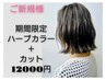 ご新規様限定【明るめ白髪染めも可能】　ハーブカラー＋カット　￥12000