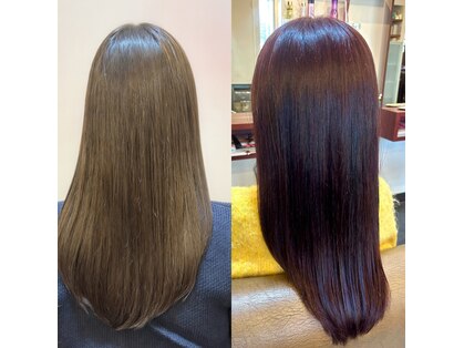 ファインヘアー(Fine Hair)の写真