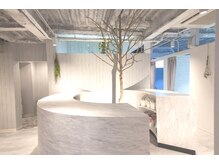 ロアゾブルー(L'oiseau Bleu)