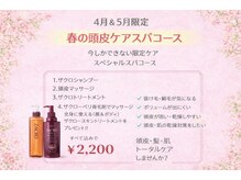プラザ ヘア ポートタウン西店(PLAZA HAIR)の雰囲気（春の頭皮ケアスパコース￥2200～）
