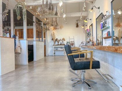 エシレ(esille.)の写真