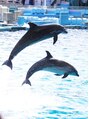 リフ(LIF by MIRROR TALK) 水族館大好きです!お出かけも好きです!