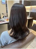 ココアブラウン